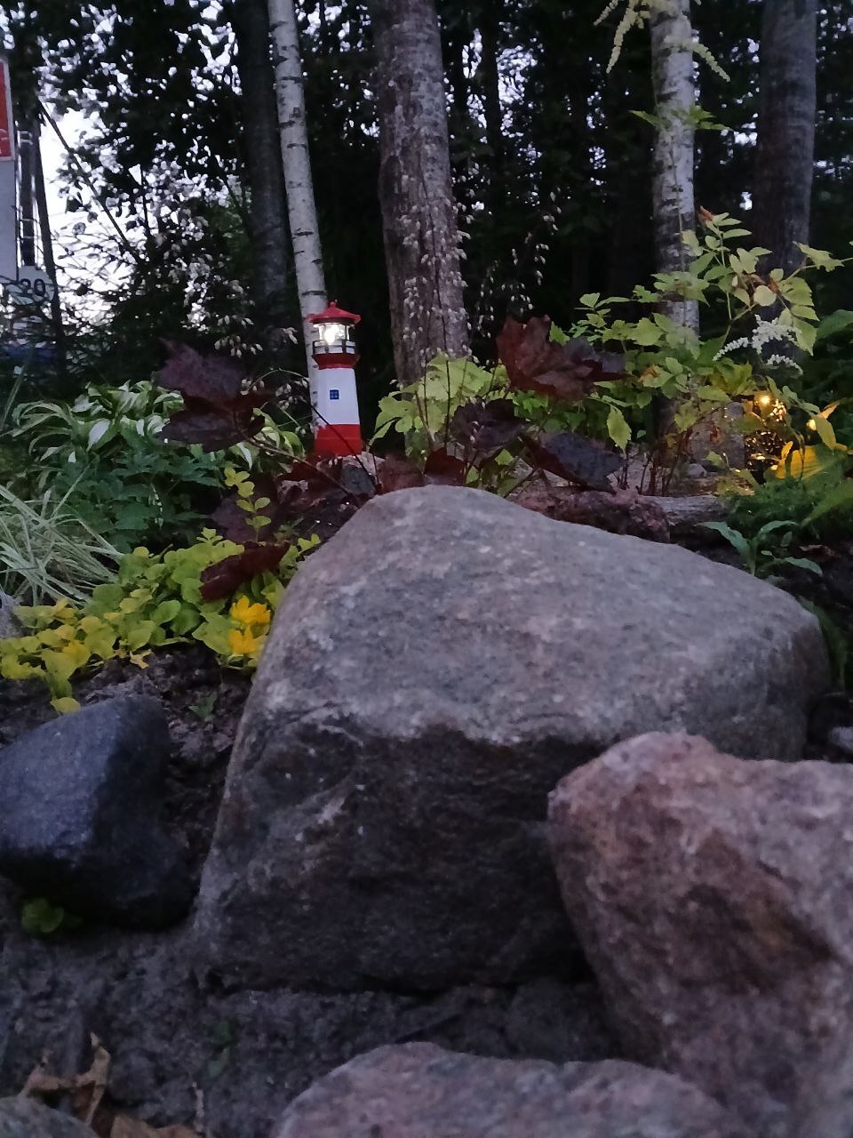 photo 2025 07 28 00 04 02