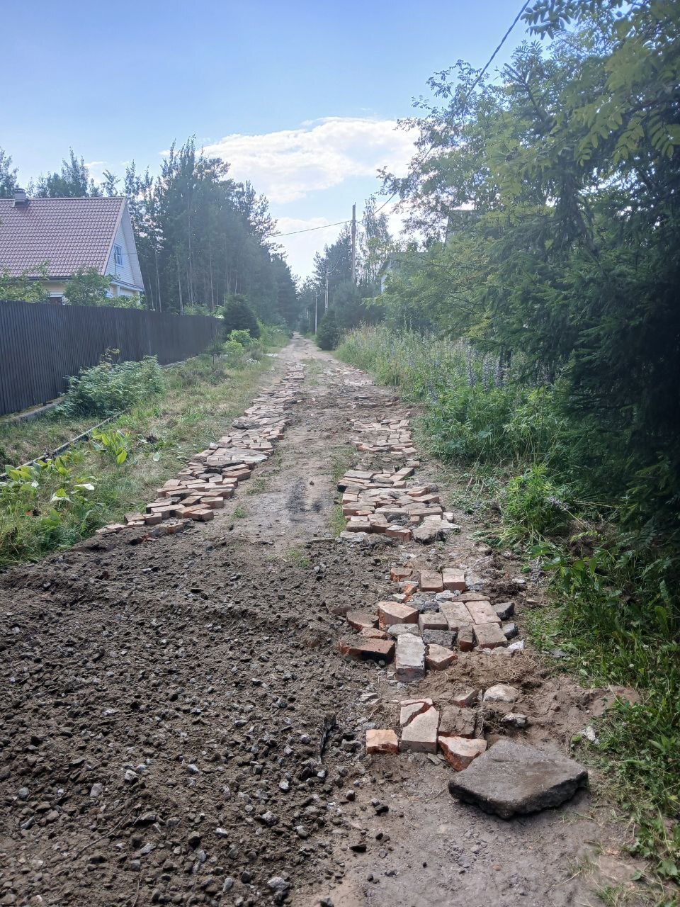 photo 2025 07 28 00 01 52 3